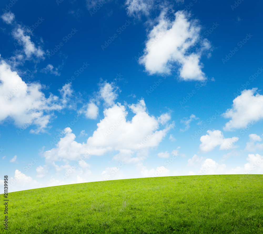 field of grass and perfect sunset sky field of grass and perfect sunset sky
