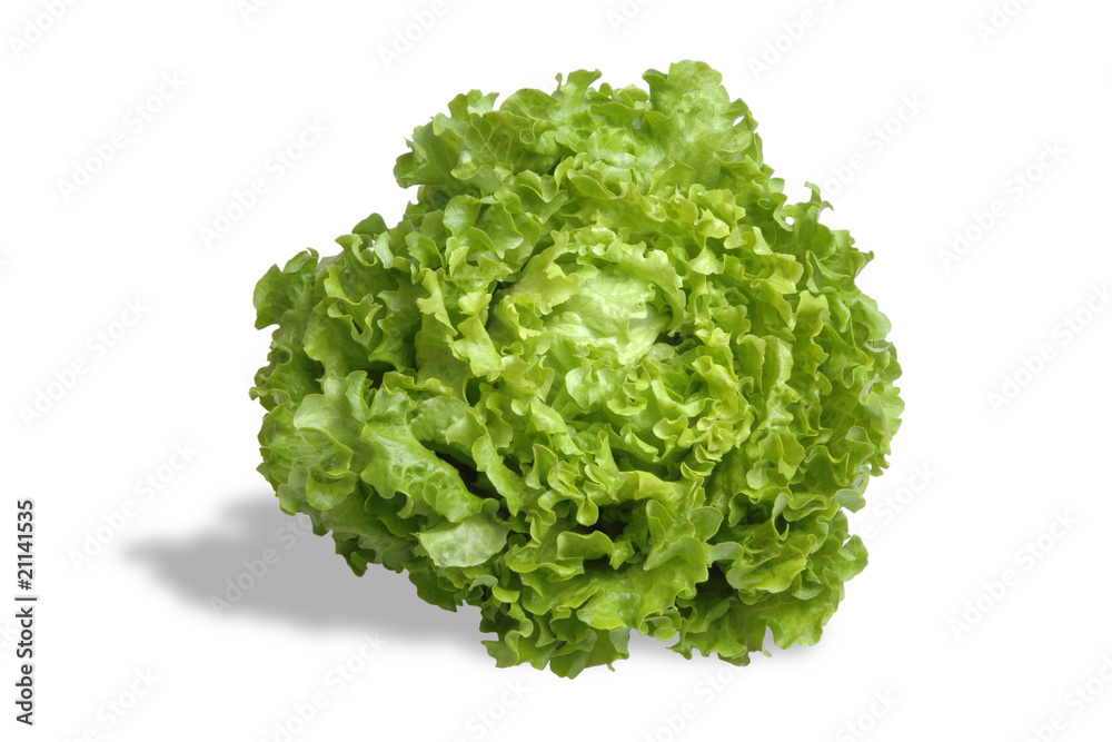 Lettuce isolated on white Lettuce isolated on white