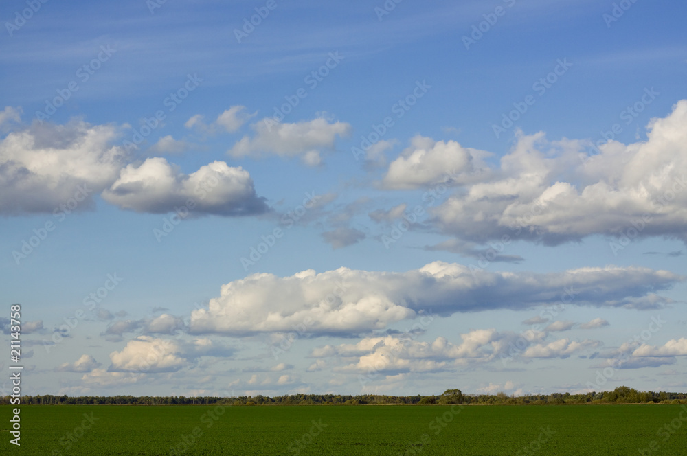 Cloudy sky and green grass meadow