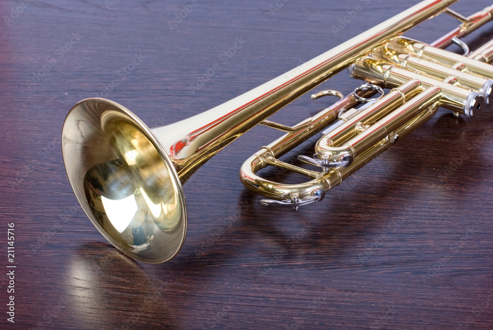 Naklejka premium trumpet