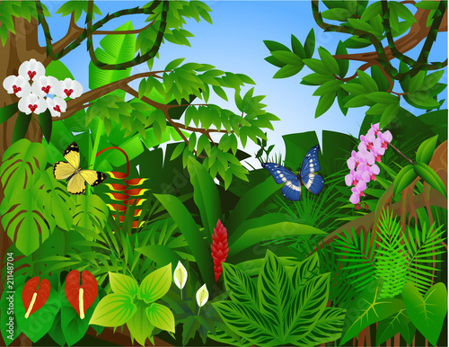 Tropical paradise