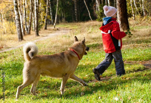 Little girl playing with her dog in autumn forest