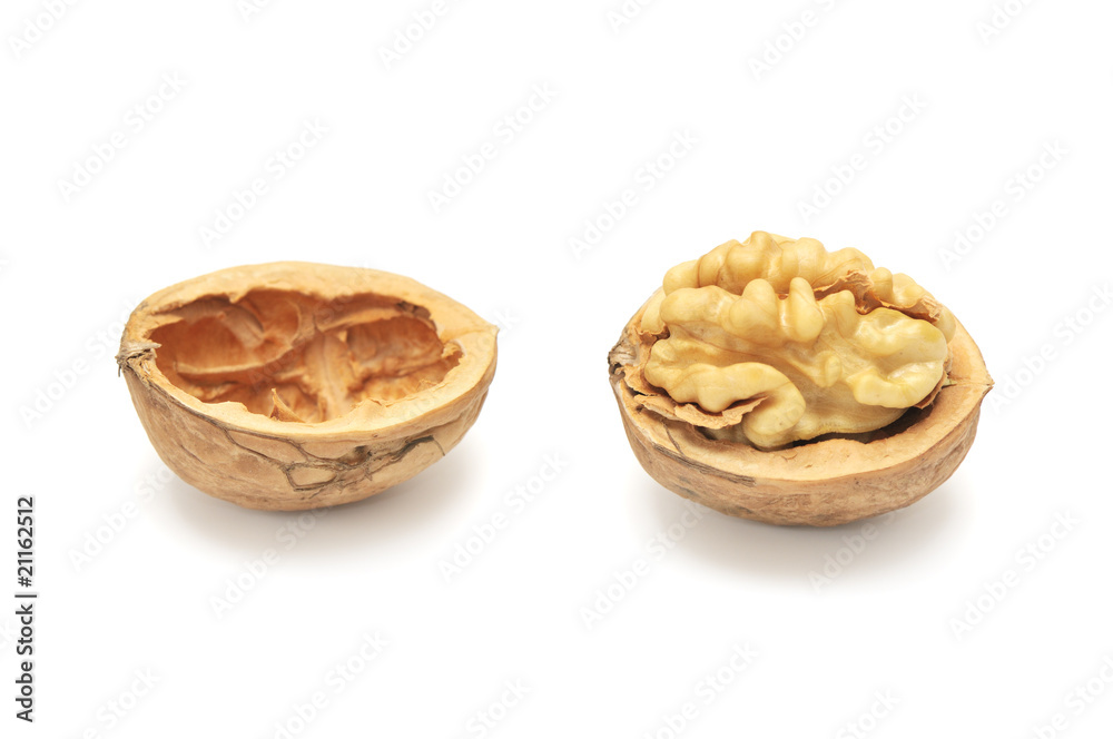 walnut walnut