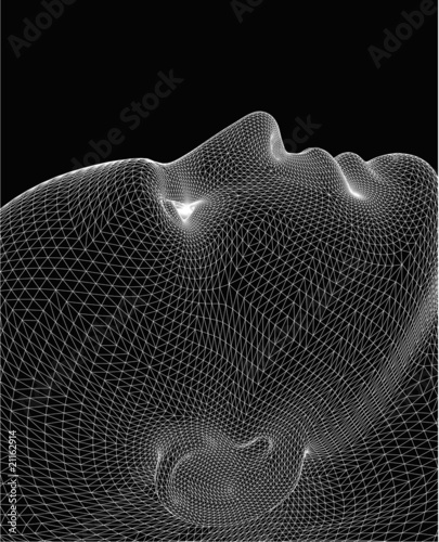 wireframe head
