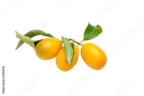 kumquat fruits on white background
