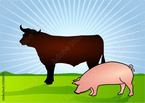 Rind und Schwein