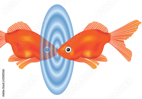 pesce rosso