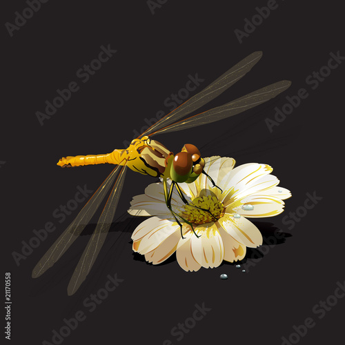 Fotografi dragonfly