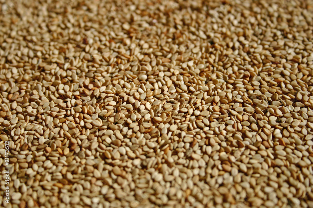 Obraz premium graines de sésame