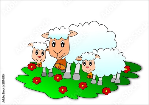 Sheeps