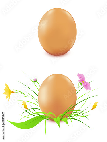 hen's eggs on a white background