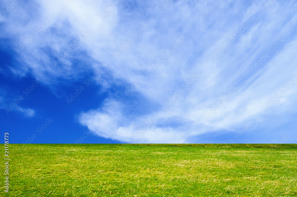 Fototapeta premium EN EL CAMPO