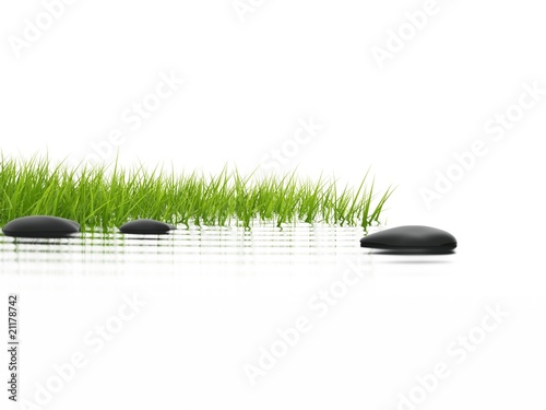 Green grass with stones ref...