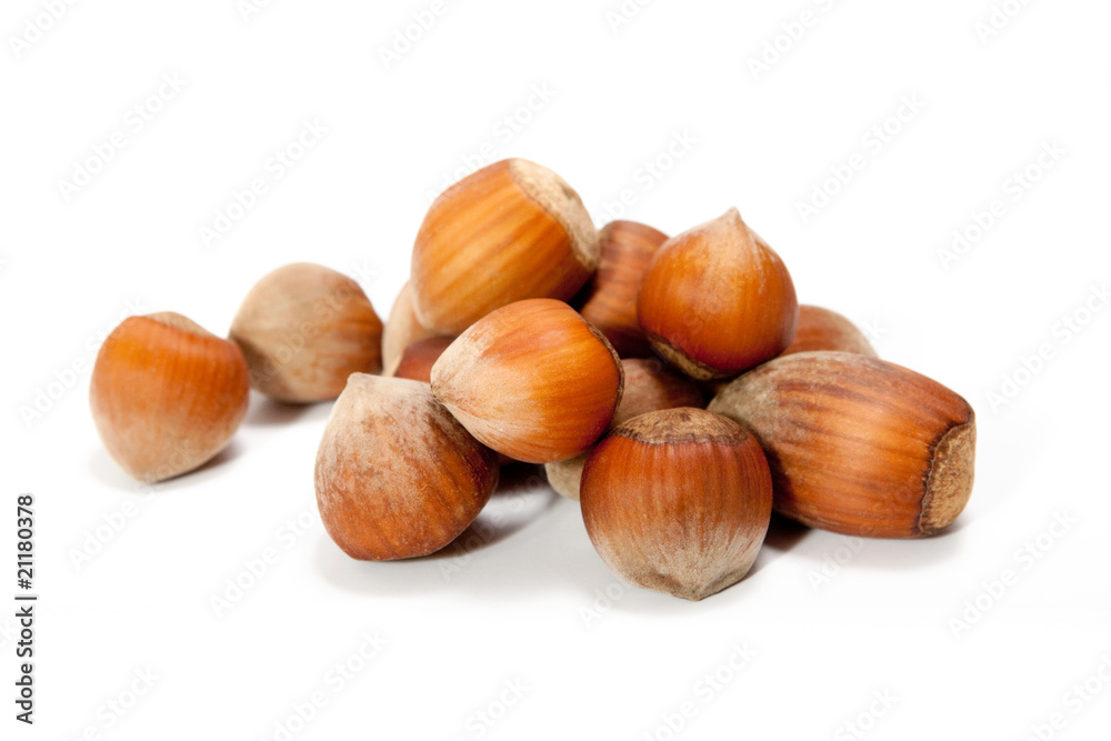 hazelnuts on a white background hazelnuts on a white background