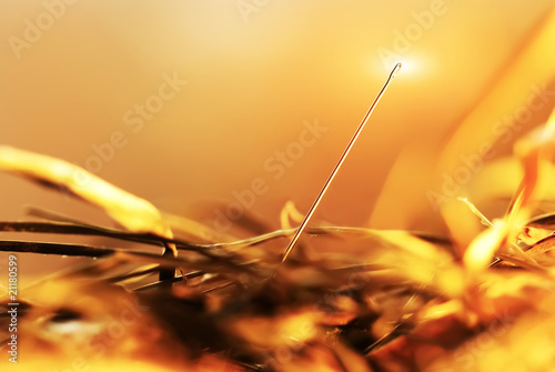 Needle in a haystack photo