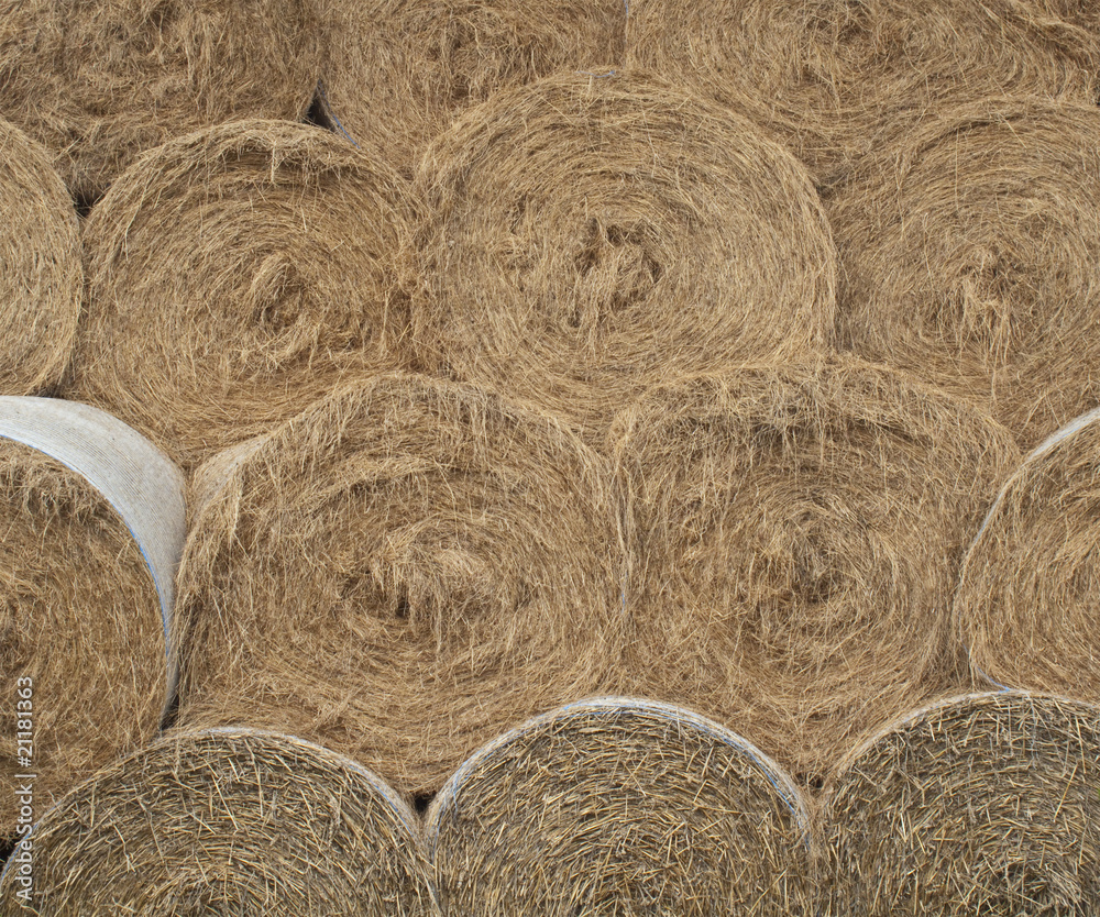 round hay bales round hay bales