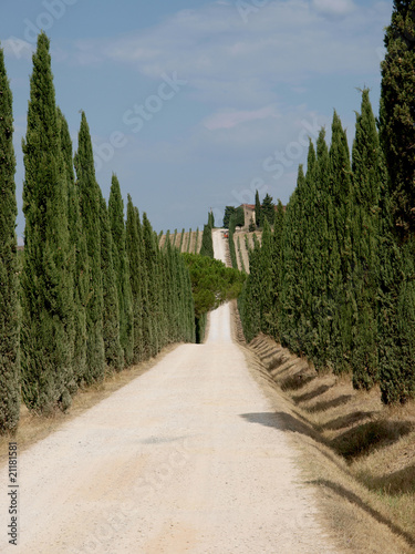 Tuscan landscape in the best edition © wjarek