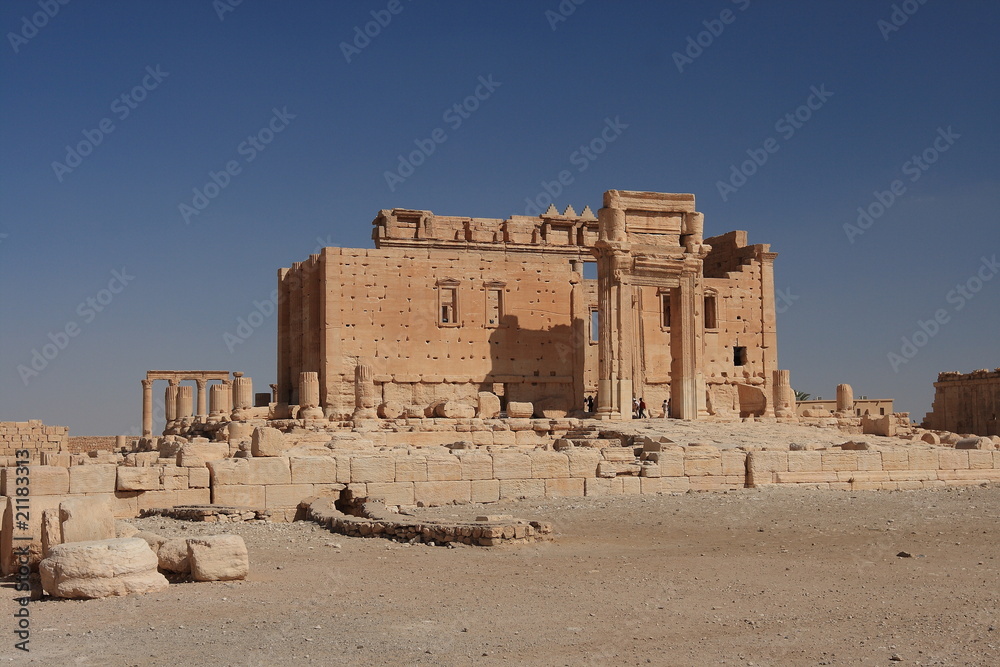 Palmyra Palmyra