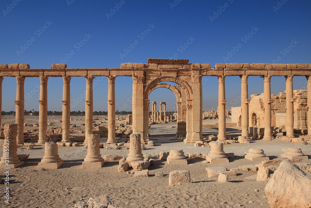 Fototapeta premium Palmyra