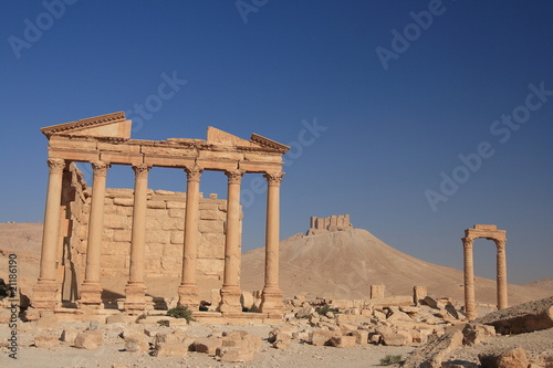 Palmyra photo