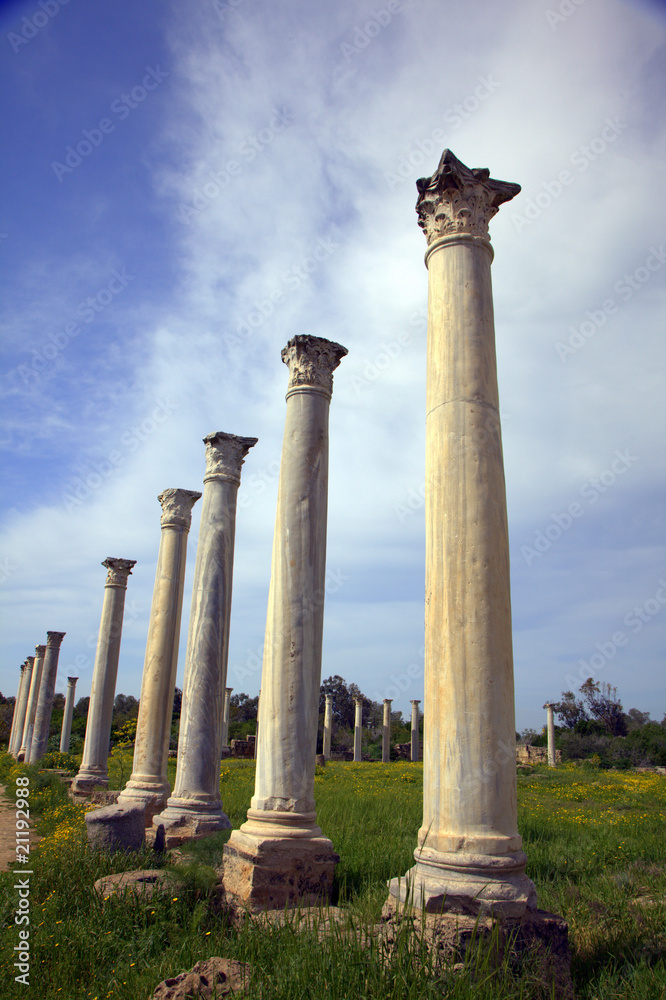 Ancient Romas site in Salamis