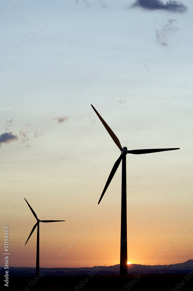 windmills backlit