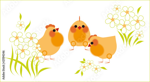 Chickens and flowers