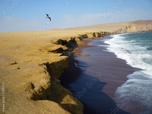 Désert à Paracas