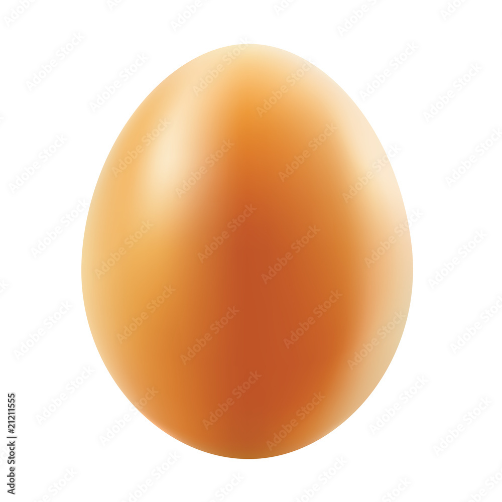 Vector egg. Vector egg.