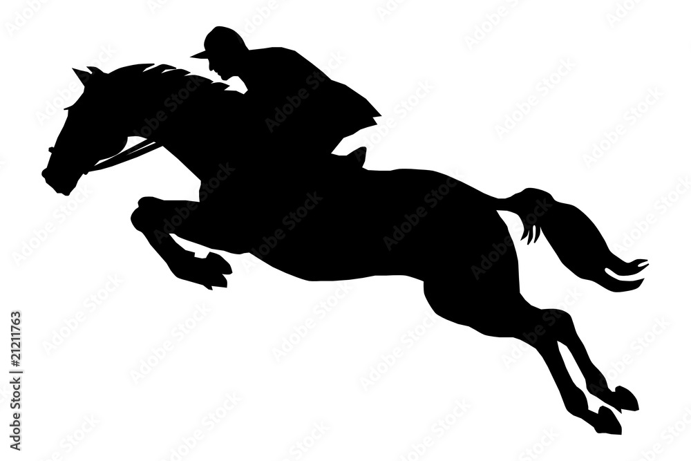 The horseman on a horse, overcoming an obstacle The horseman on a horse, overcoming an obstacle