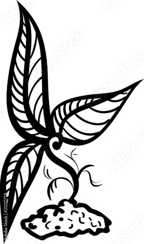 Small design graft tattoo