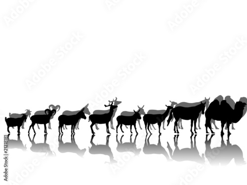 Fotografie Gruppe Huftiere mit Schattenspiegelung
