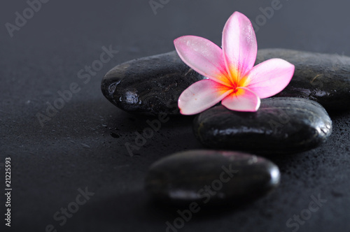 Spa flower and stones