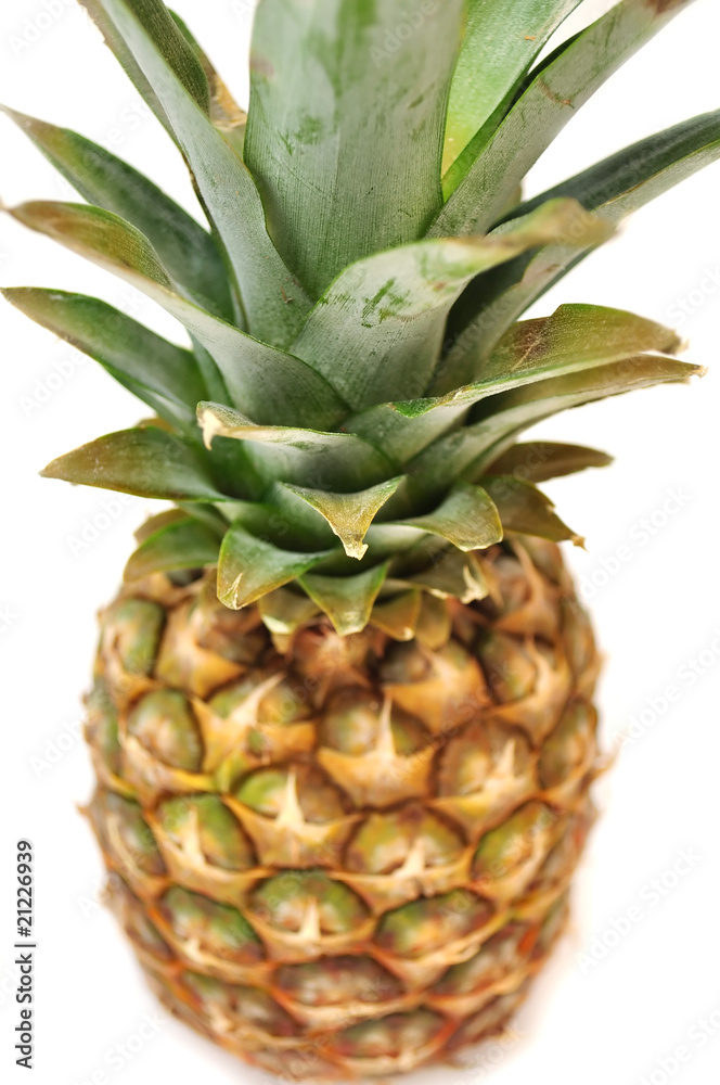 Fototapeta premium Pineapple