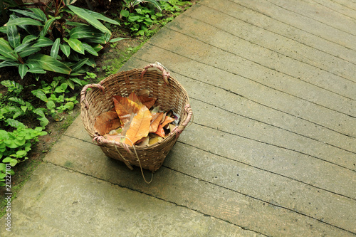 basket in garedn with dry leaf. photo