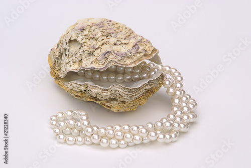 Bilde på lerret Auster mit Perlenkette - oyster with pearl necklet 02