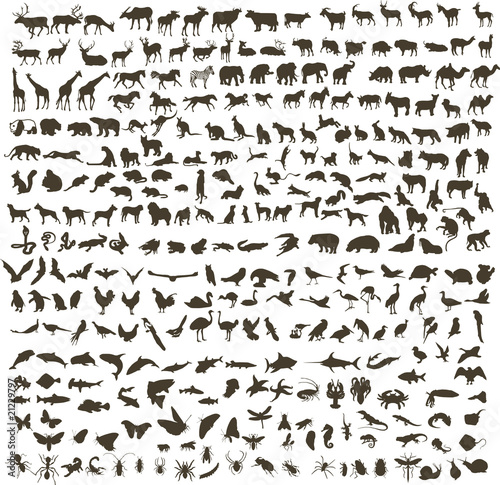300 silhouettes of animals