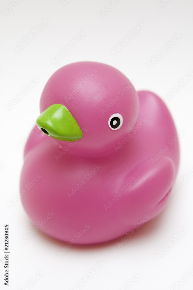 toy rubber pink duck on white background toy rubber pink duck on white background