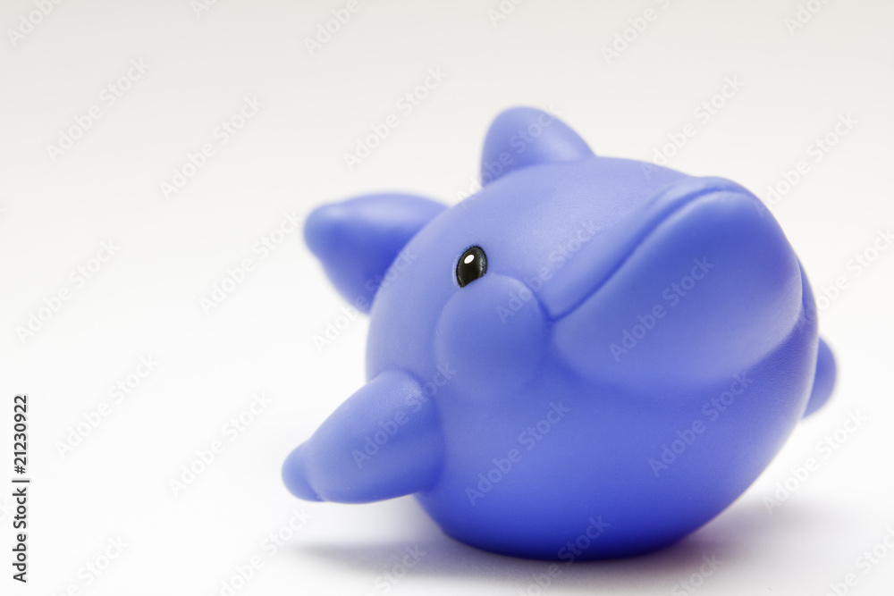 toy rubber dolphin on white background toy rubber dolphin on white background
