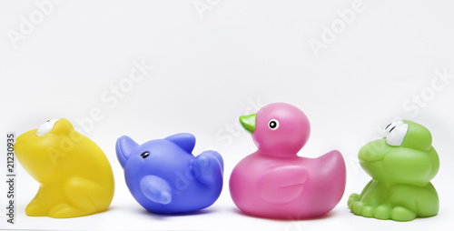 toy rubber group with frog, dolphin and duck on white background