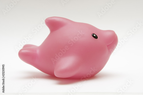 toy rubber pink dolphin on white background