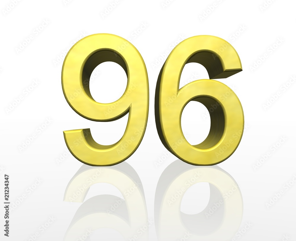 96 96
