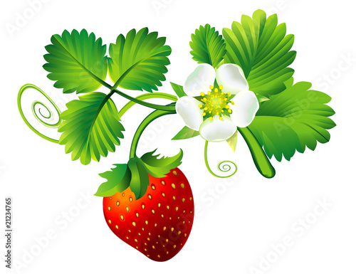 Strawberry