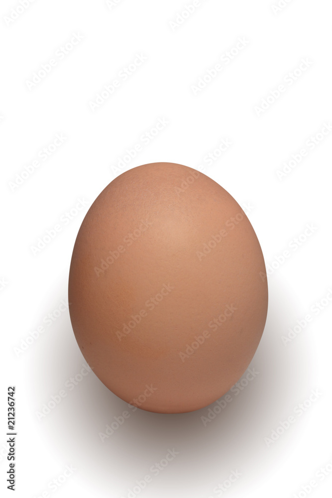 The brown Easter Egg on the white Background The brown Easter Egg on the white Background