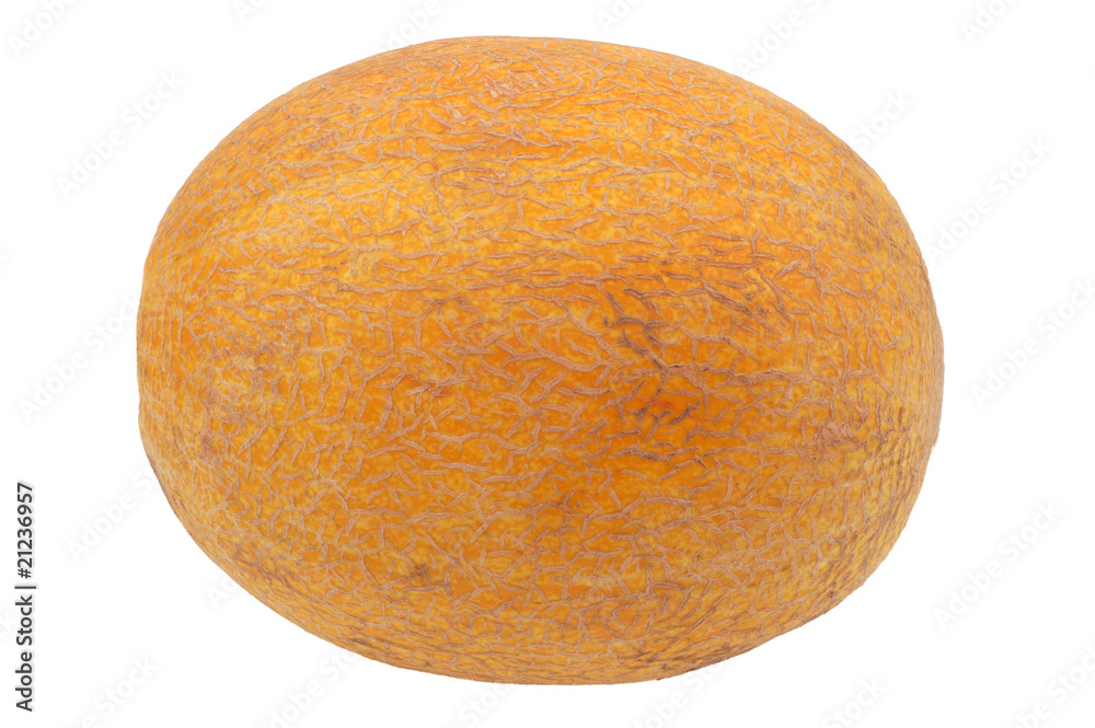 melon isolated on white background melon isolated on white background