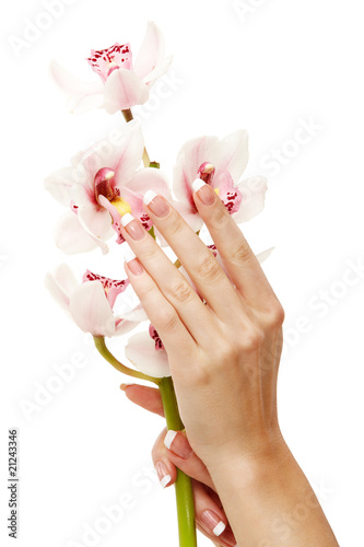 Hands and orchid