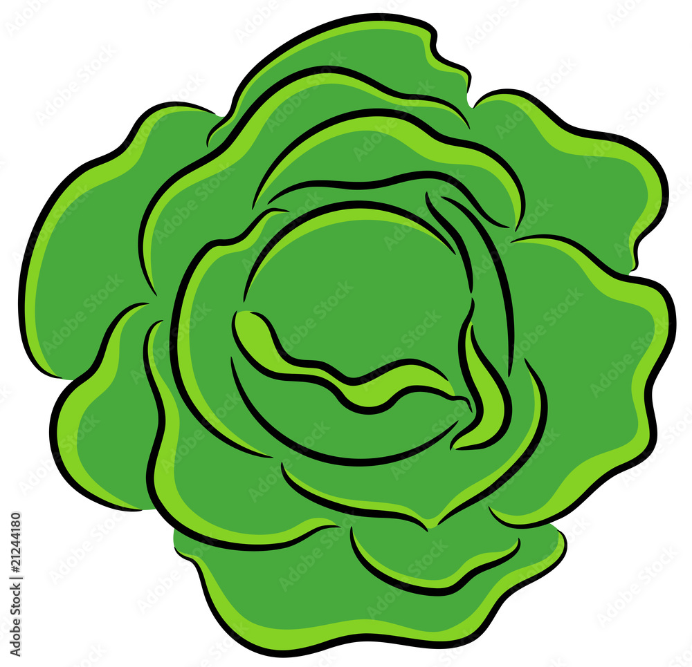 Cabbage Cabbage