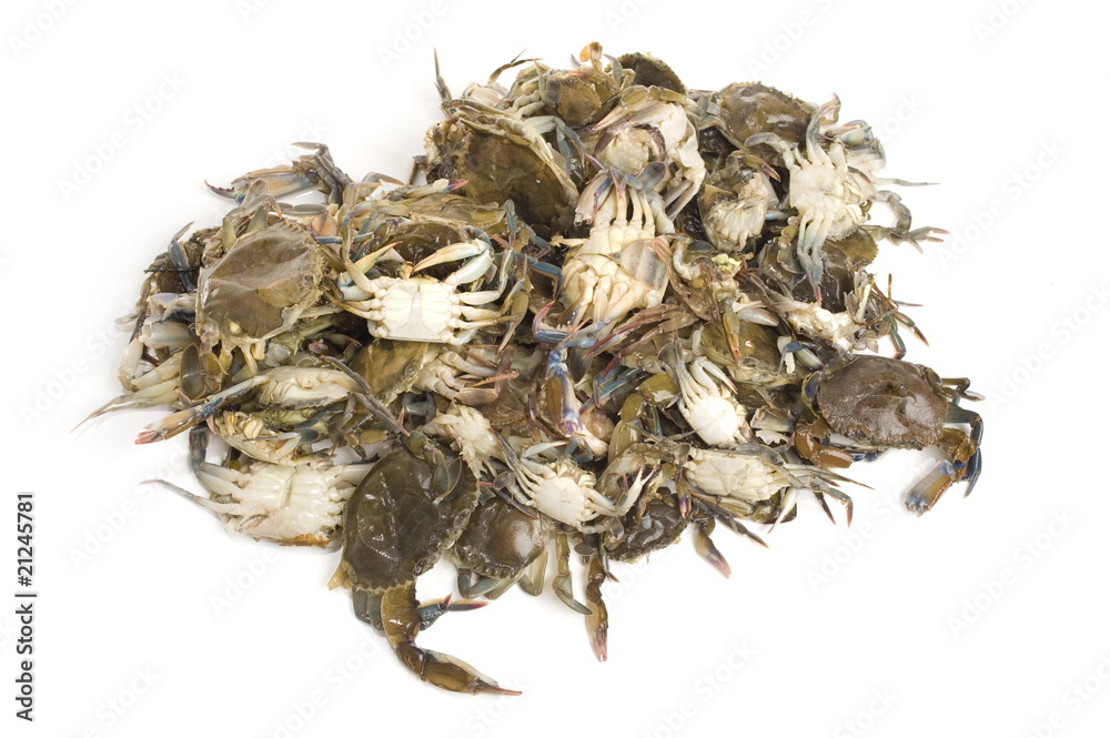 Crabs Crabs