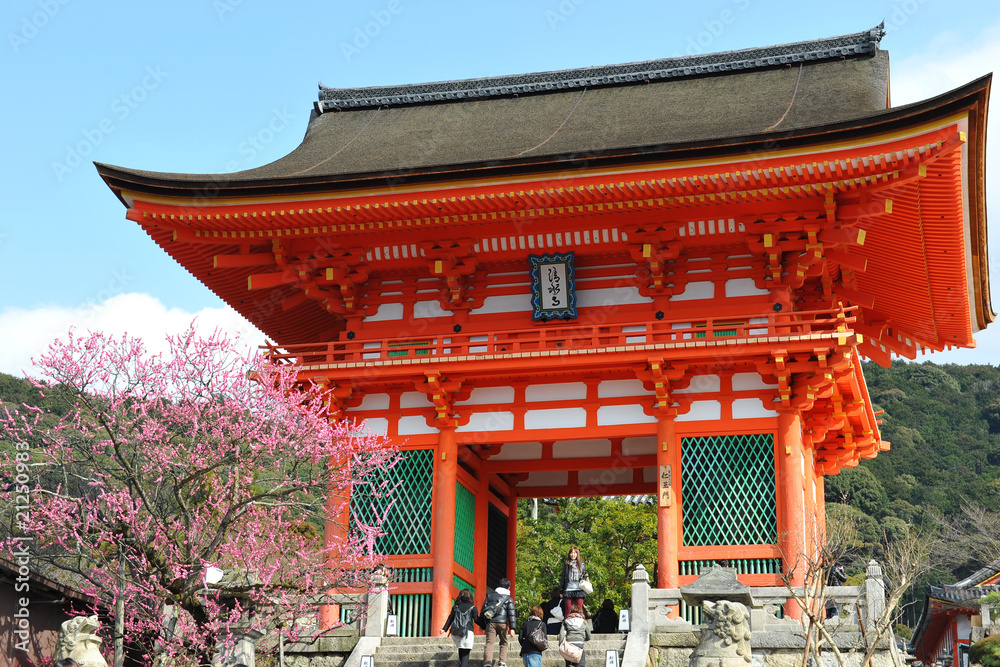 Fototapeta premium Kyoto, kyomisu dera
