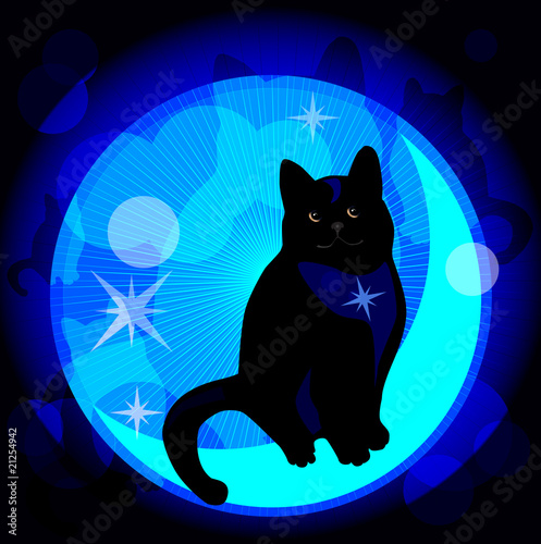 dreaming cat